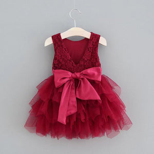 WINE LACE & TULLE DRESS